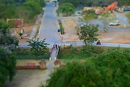 视图,黄金山。,树