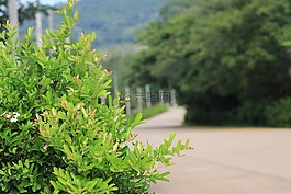 夏日,看,亞洲