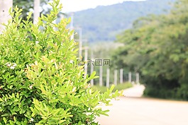 夏日,自然,kkec