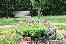 花園,和平,沉默