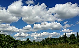 奥尔库什,波兰,草甸