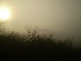 霧,剪影,裝載