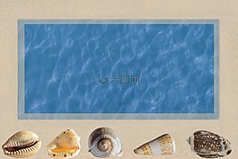海貝殼,組成,海
