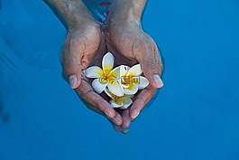 收集的手,鲜花,水