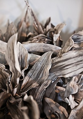 分支機(jī)構(gòu),干,死
