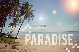 夏季,太陽,海灘