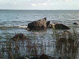 性質(zhì),轉(zhuǎn)到,牧歌