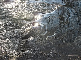 水,河,流