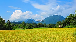 鄉下,老撾,原野