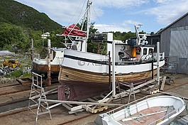 釋放,小船,院子里