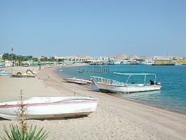埃及,非洲,海