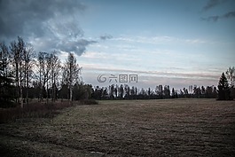 原野,黑暗,景觀