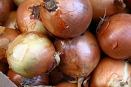 洋蔥,蔥,蔬菜