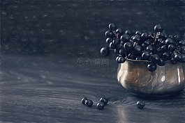 图像,画,女贞