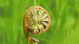 廠,性質(zhì),活