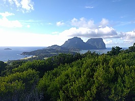 海洋,山,布什