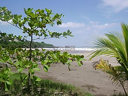 杏仁,海灘,地平線