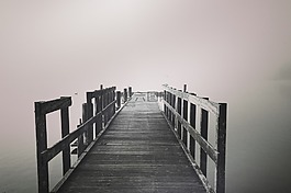 鳥,霧,水