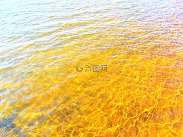 湖,水,表面