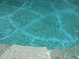 池,水,夏天