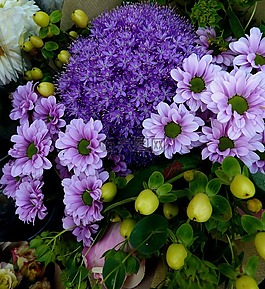 鮮花,紫,性質(zhì)
