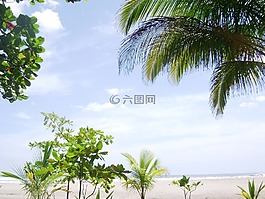 手掌,天空,地平線