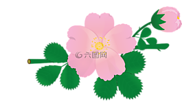 玫瑰,花,荊棘