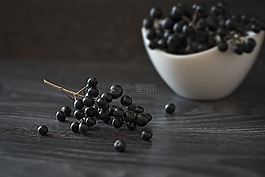 女贞,女贞浆果,浆果深蓝色