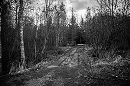 黑暗的鄉(xiāng)村道路,黑色和白色,bw