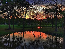 日落,我的火車公園,沼澤