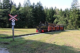 freilichtmuseum薩爾茨堡,火車(chē),游客