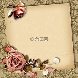 留言簿,浪漫,玫瑰