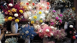 星空,繁花,江南