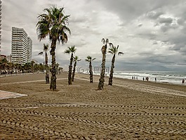 圣胡安海灘,阿利坎特,經過果園