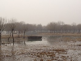 landscape,swamp,boat