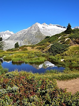 山,池塘,景觀
