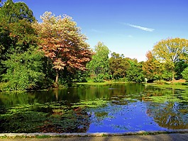 展望公园,布鲁克林,纽约
