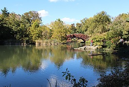 曼哈頓,紐約,中央公園
