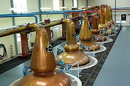 酿酒厂,苏格兰,威士忌酒