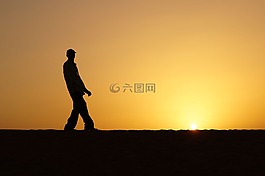 對著光,日落,陰影