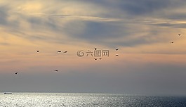 云,鳥,聲音