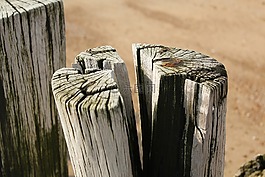 海灘,荷蘭,海