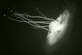 行星,月亮,銀河