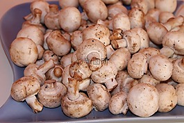 蘑菇,白蘑菇
