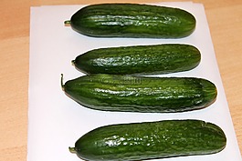 黃瓜,蔬菜,素食