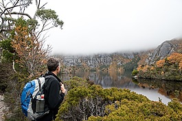 荒野,火山口湖,塔斯马尼亚