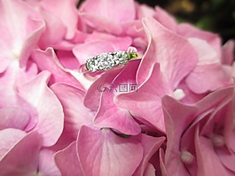 環(huán),花,金剛石