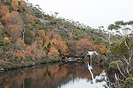 火山口湖,塔斯马尼亚,风景