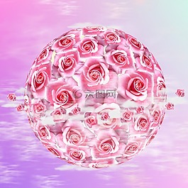 玫瑰,鮮花,性質(zhì)