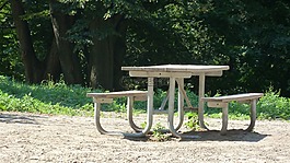 表,野餐,公園